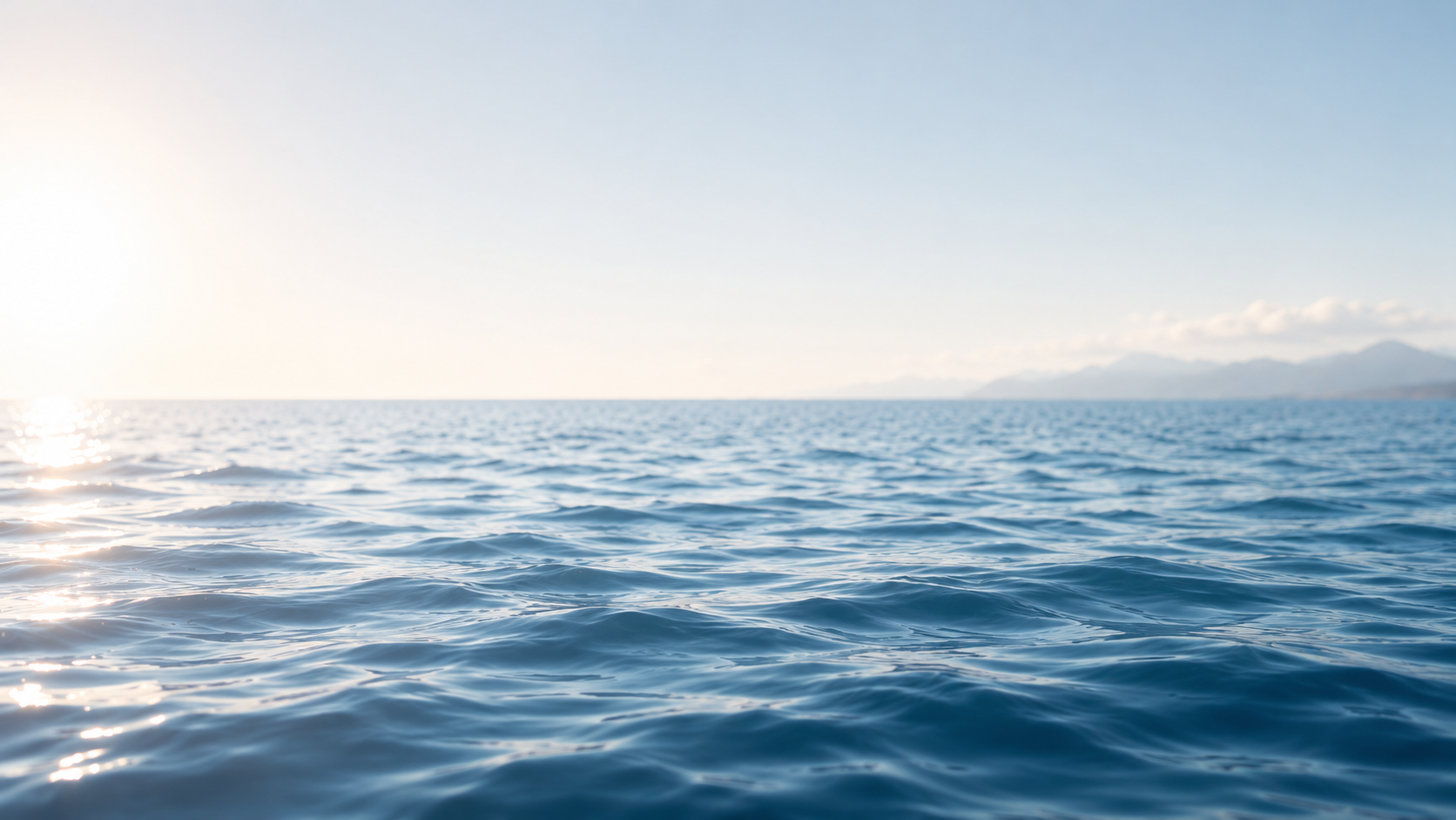 Meer